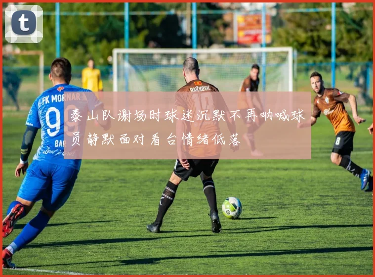 泰山队谢场时球迷沉默不再呐喊球员静默面对看台情绪低落